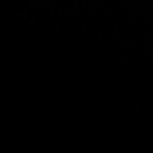 Meet your Posher, Karina